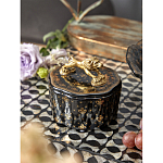 Шкатулка черного цвета с крышкой с фигуркой льва Eden Garden варинант исполнения - 6 | Loft Concept в Тюмени