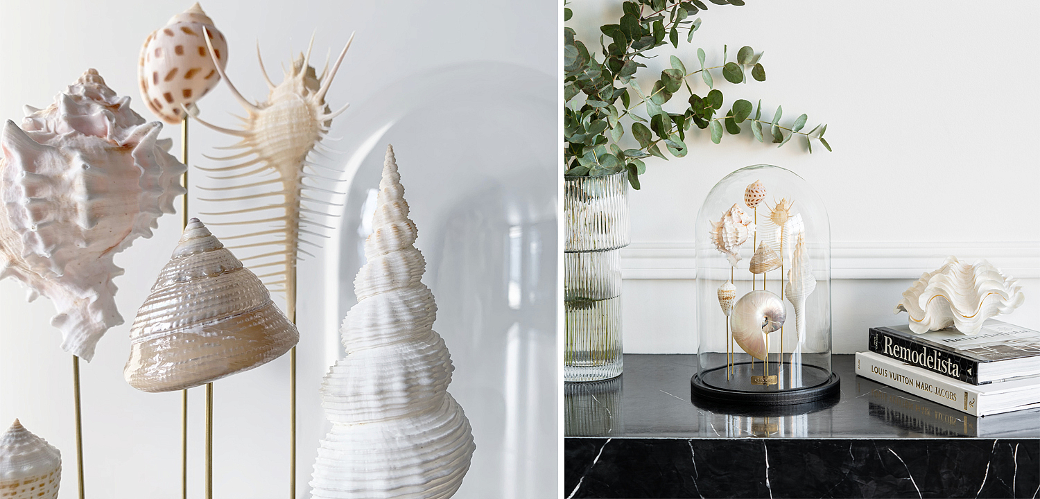Статуэтка Shell Collection Glass Cloche 1 Статуэтка Shell Collection Glass Cloche 1 - Loft-Concept в Тюмени