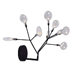 Бра в виде ветвей с прозрачными круглыми плафонами Moooi варинант исполнения - 2 | Loft Concept в Тюмени