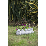 Кашпо Canaries варинант исполнения - 6 | Loft Concept в Тюмени