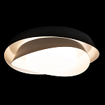 Потолочный светильник круглый черного цвета из металла Vita Cuna варинант исполнения - 1 | Loft Concept в Тюмени