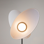 Напольный светильник Evolution 3000К 12Вт варинант исполнения - 5 | Loft Concept в Тюмени