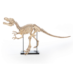 Статуэтка Skeleton