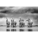 Книга Beusker. Look into my Eyes варинант исполнения - 4 | Loft Concept в Тюмени