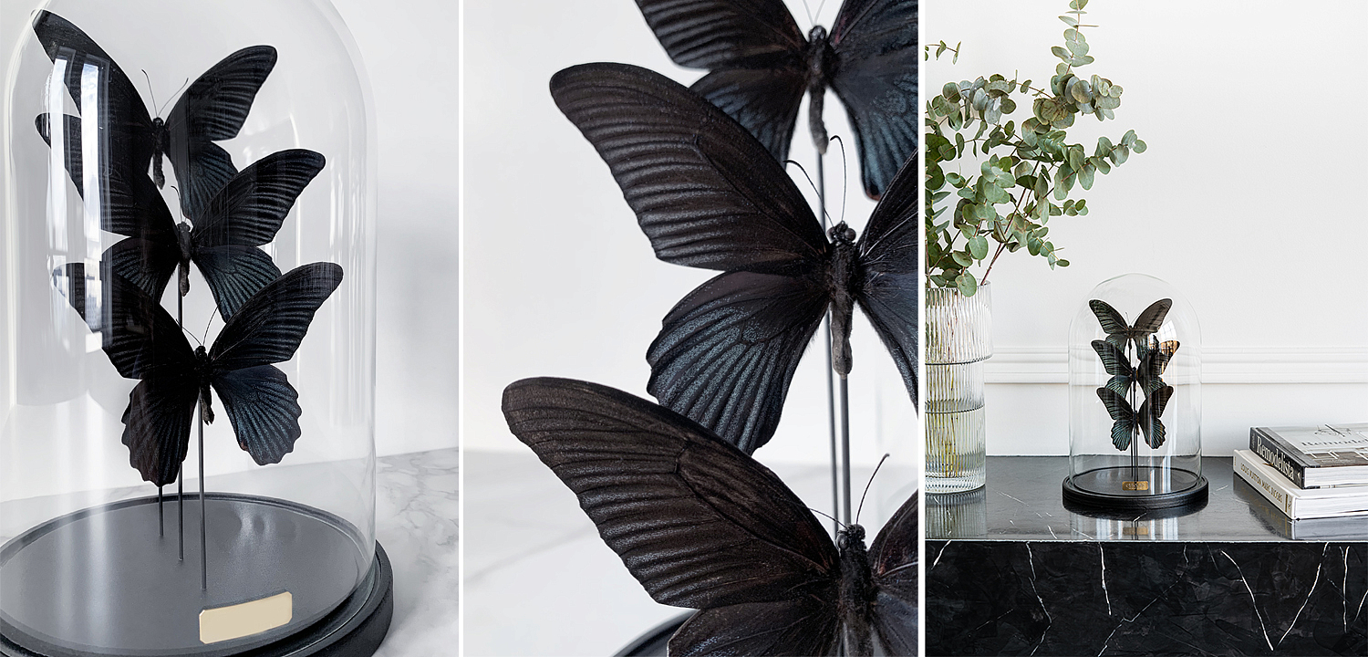 Статуэтка 3 Butterflies Papilio Memnon Glass Cloche Статуэтка 3 Butterflies Papilio Memnon Glass Cloche - Loft-Concept в Тюмени