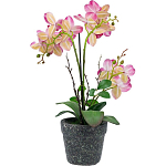 Декоративный искусственное растение Pink orchid варинант исполнения - 5 | Loft Concept в Тюмени
