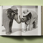 Книга в подарок творческий путь Брюса Вебера Bruce Weber. My Education варинант исполнения - 6 | Loft Concept в Тюмени