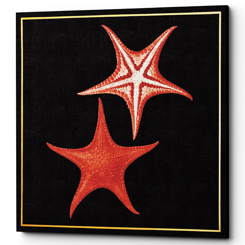 Постер Sea Stars Poster Черный Красный Постер Sea Stars Poster Черный Красный в Тюмени | Loft Concept
