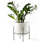 Кашпо из керамики Elevated Planters 32 варинант исполнения - 11 | Loft Concept в Тюмени