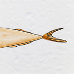 Плитка с узором Рыба Русалка варинант исполнения - 6 | Loft Concept в Тюмени