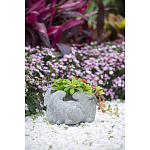 Кашпо A collection of baby rabbits варинант исполнения - 9 | Loft Concept в Тюмени