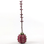 Статуэтка тропический фрукт Pandora Tropical Fruit Tall Pink Green варинант исполнения - 3 | Loft Concept в Тюмени