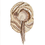 Овальный Современный Гобелен Абстракция в бежевых тонах Shallow варинант исполнения - 7 | Loft Concept в Тюмени