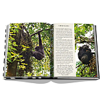 Подарочнный коллекционный фото альбом AFRICAN ADVENTURES NEW 2023 ASSOULINE HC UNBELIEVABLE ILLUSTRATIONS Safari варинант исполнения - 8 | Loft Concept в Тюмени