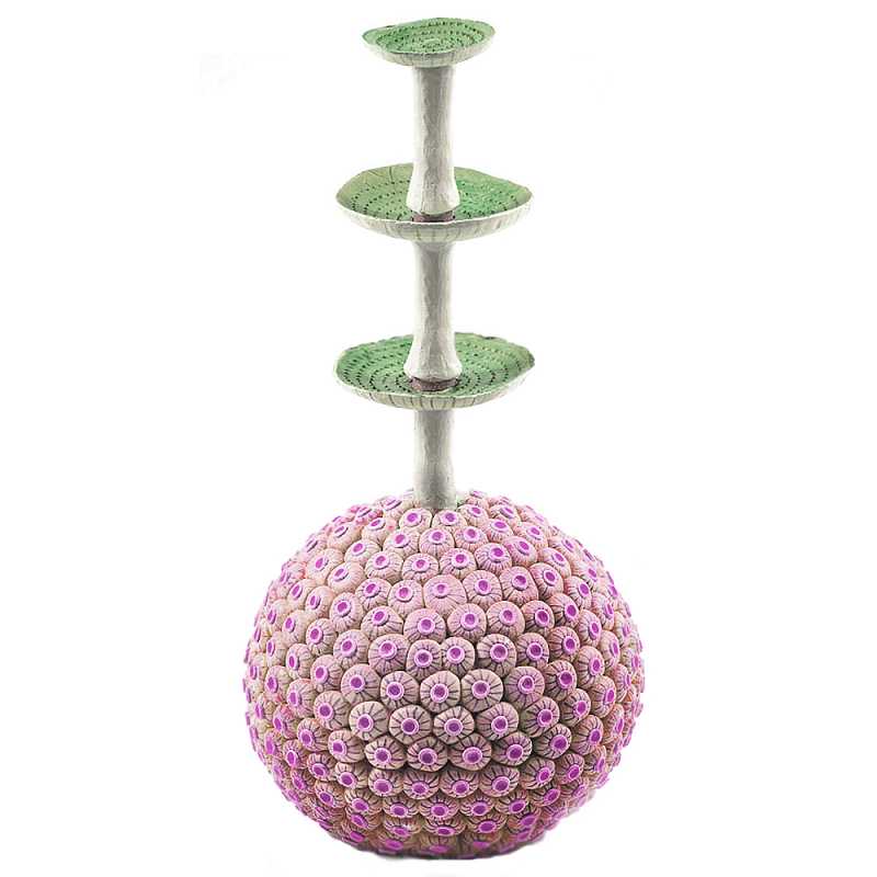 Статуэтка розовый экзотический фрукт Exotic Tropical Fruit 61 Зеленый Розовый в Тюмени | Loft Concept 