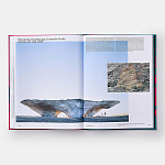 Radical Architecture of the Future варинант исполнения - 4 | Loft Concept в Тюмени