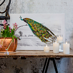 Постер на холсте с изображением павлина на ветке Majestic Peacock on a Tree Poster варинант исполнения - 2 | Loft Concept в Тюмени