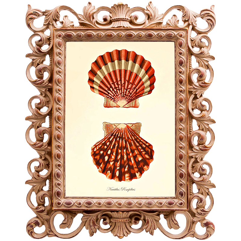 Постер Red Scallop Poster Бежевый Красный в Тюмени | Loft Concept 