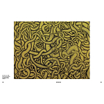 Редкое подарочное издание Yayoi Kusama: 1945 to Now варинант исполнения - 7 | Loft Concept в Тюмени