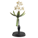 Статуэтка Wonderboom варинант исполнения - 1 | Loft Concept в Тюмени