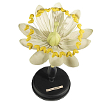 Статуэтка Tilia варинант исполнения - 1 | Loft Concept в Тюмени