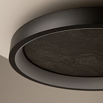 Потолочный светильник Orign 3000К варинант исполнения - 5 | Loft Concept в Тюмени