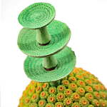 Статуэтка тропический фрукт Tropical Fruit Amazonica Green Yellow варинант исполнения - 1 | Loft Concept в Тюмени