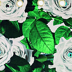 Штора Seletti Roses варинант исполнения - 1 | Loft Concept в Тюмени