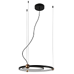 Люстра подвесная светодиодная черный металл Ring Horizontal варинант исполнения - 2 | Loft Concept в Тюмени