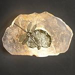 Бра Декоративный лист с стрекозой Glacial Fragment варинант исполнения - 2 | Loft Concept в Тюмени