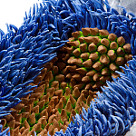 Дизайнерская статуэтка для интерьера Tropical Fruit Pandora 12 варинант исполнения - 3 | Loft Concept в Тюмени