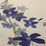 Обои ручная роспись Cherry Tree Original colourway on Stone Ochre dyed silk варинант исполнения - 3 | Loft Concept в Тюмени