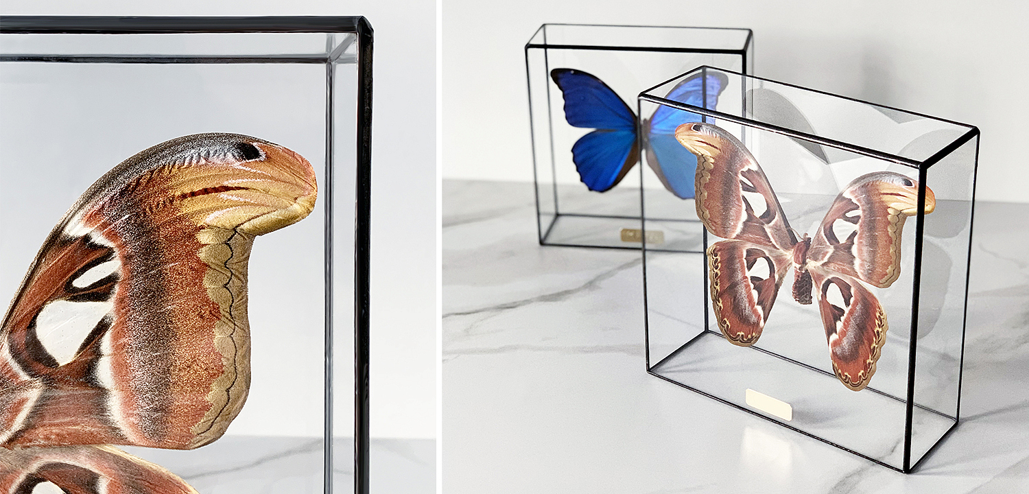 Статуэтка Butterfly Atlas Glass Box Статуэтка Butterfly Atlas Glass Box - Loft-Concept в Тюмени