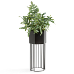 Кашпо Elevated Planters Сlive 59 черное  варинант исполнения - 2 | Loft Concept в Тюмени