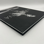 Коллекционная редкая книга Madonna: Nudes + by Martin H.M. Schreiber 2017 Букинистика варинант исполнения - 4 | Loft Concept в Тюмени