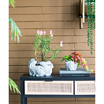 Кашпо A collection of baby rabbits варинант исполнения - 5 | Loft Concept в Тюмени