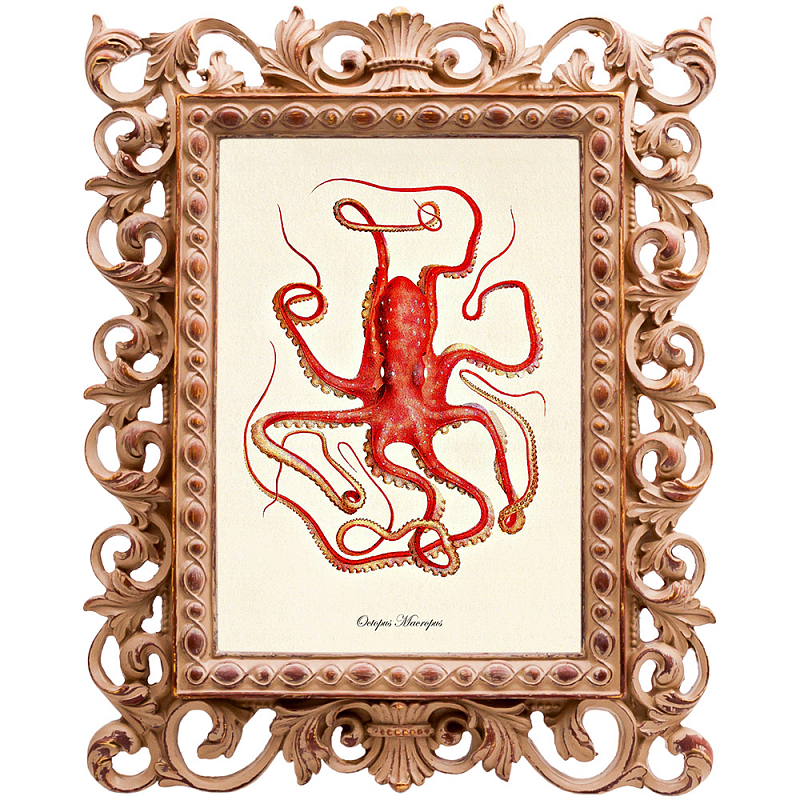 Постер Red Squid Poster Бежевый Красный Постер Red Squid Poster Бежевый Красный в Тюмени | Loft Concept