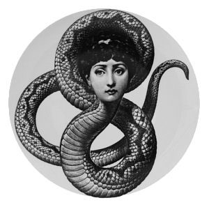 Декоративная тарелка Fornasetti 198