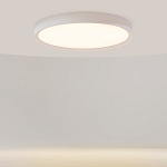 Потолочный светильник Incognito 2700-4000К 46Вт варинант исполнения - 2 | Loft Concept в Тюмени