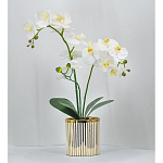 Декоративный искусственное растение Lush Orchid варинант исполнения - 2 | Loft Concept в Тюмени