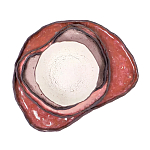 Сет из 4-х тарелок «QARTZITE» варинант исполнения - 5 | Loft Concept в Тюмени