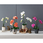 Декоративный искусственное растение Pink orchid варинант исполнения - 11 | Loft Concept в Тюмени