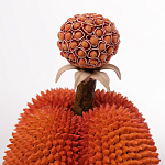 Статуэтка тропический фрукт Tropical Fruit Orange Prickly Berry варинант исполнения - 2 | Loft Concept в Тюмени