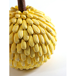 Статуэтка тропический фрукт Pandora Tropical Fruit Yellow Emerald Flower варинант исполнения - 2 | Loft Concept в Тюмени