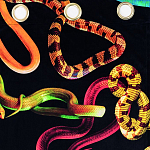 Штора Seletti Snakes Black варинант исполнения - 1 | Loft Concept в Тюмени