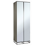 Двухдверный шкаф с зеркальными дверцами Strict Lines варинант исполнения - 1 | Loft Concept в Тюмени