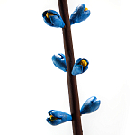 Синий экзотический фрукт статуэтка для интерьераTropical Fruit Pandora 9 варинант исполнения - 2 | Loft Concept в Тюмени