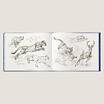 Лимитированная подарочная книга HERMES Fierce and Fragile book, English version варинант исполнения - 4 | Loft Concept в Тюмени