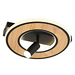 Потолочный светильник круглый GAVIN WOOD варинант исполнения - 1 | Loft Concept в Тюмени