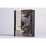 Книга Fantastic Gustave Dore варинант исполнения - 3 | Loft Concept в Тюмени